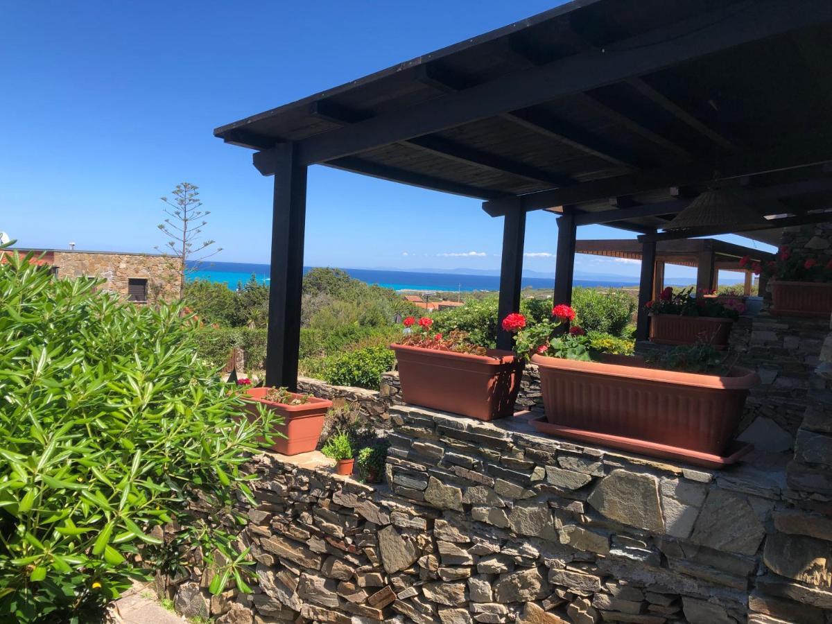 Апартаменты Conchiglia Di Stintino Vista Mare Экстерьер фото